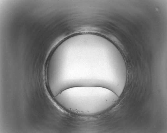 X0000067480990200604101224