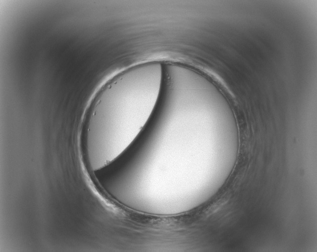 X0000067480991200604101224