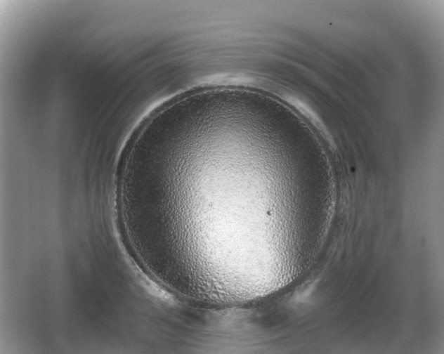 X0000067480992200604101224