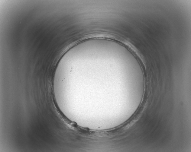 X0000067480993200604101224