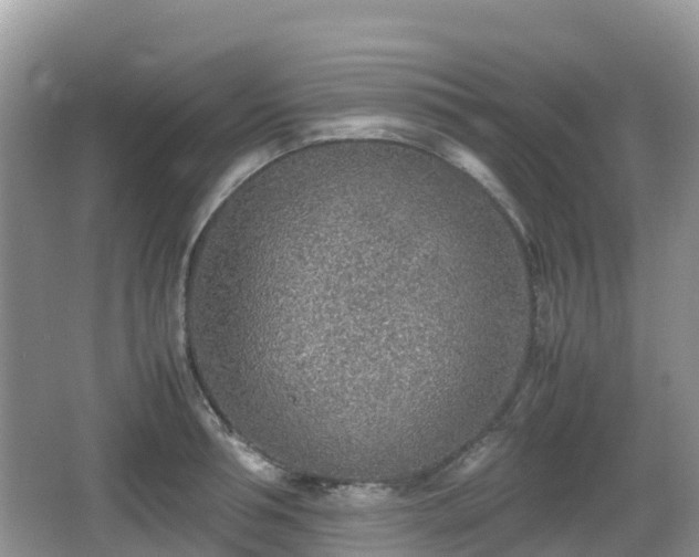 X0000067480994200604101224