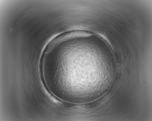 X0000067480995200604101224