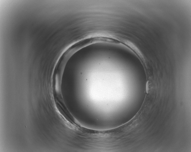 X0000067480996200604101224