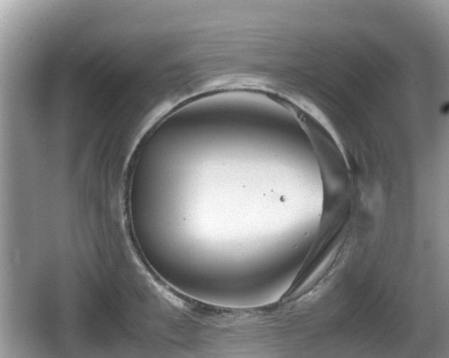 X0000067480997200604101224