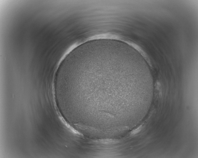 X0000067480998200604101224