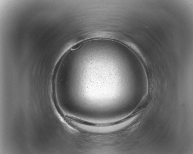 X0000067480999200604101224