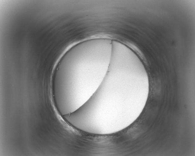 X0000067481000200604101224