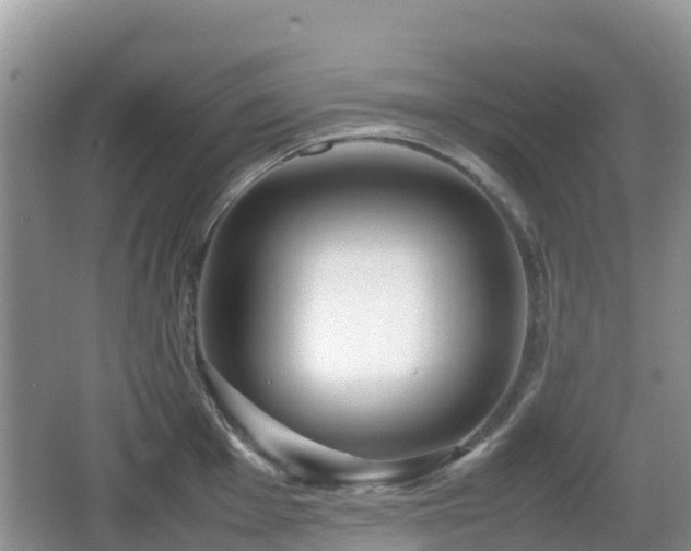 X0000067481001200604101224