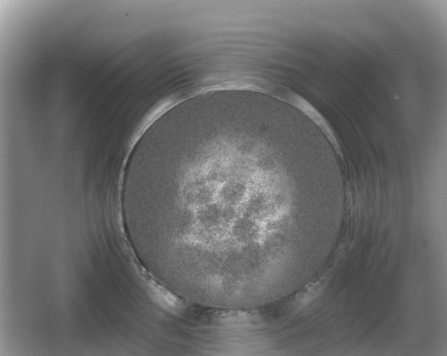 X0000067481002200604101224