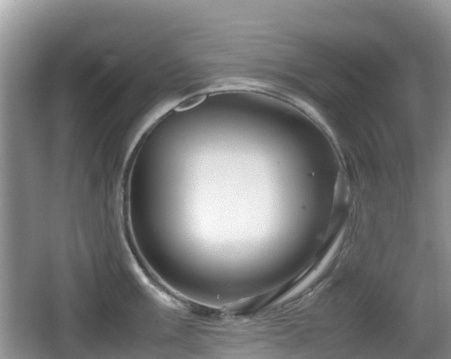 X0000067481003200604101224