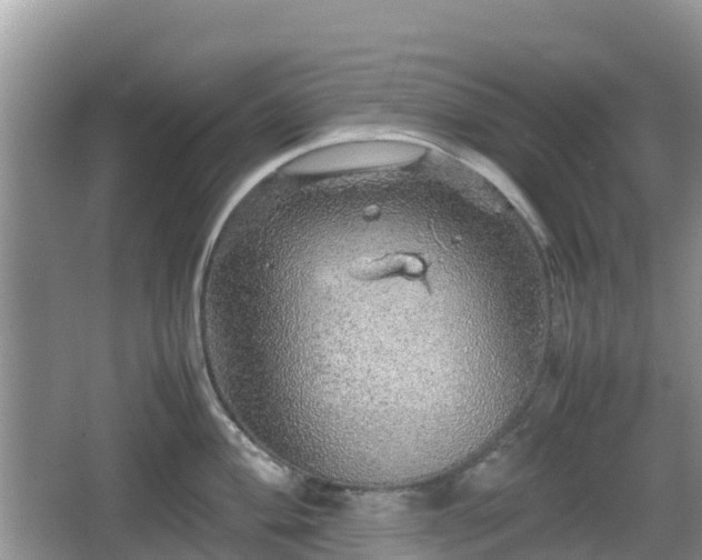 X0000067481004200604101224