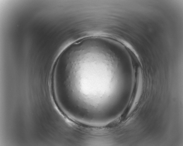 X0000067481007200604101224