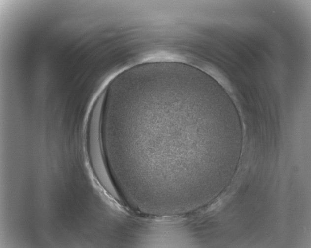 X0000067481008200604101224