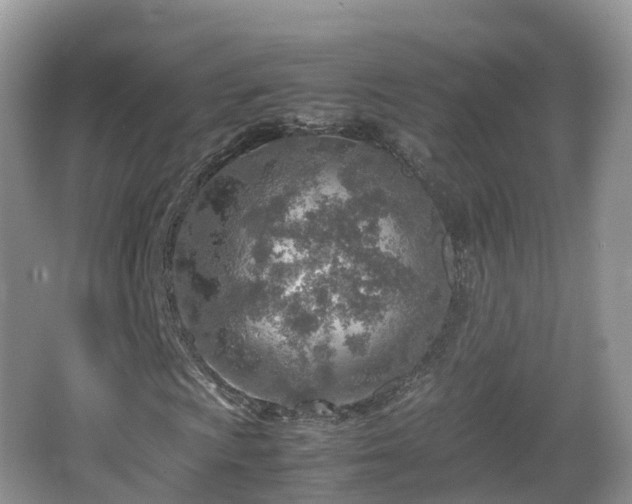 X0000067481009200604101223