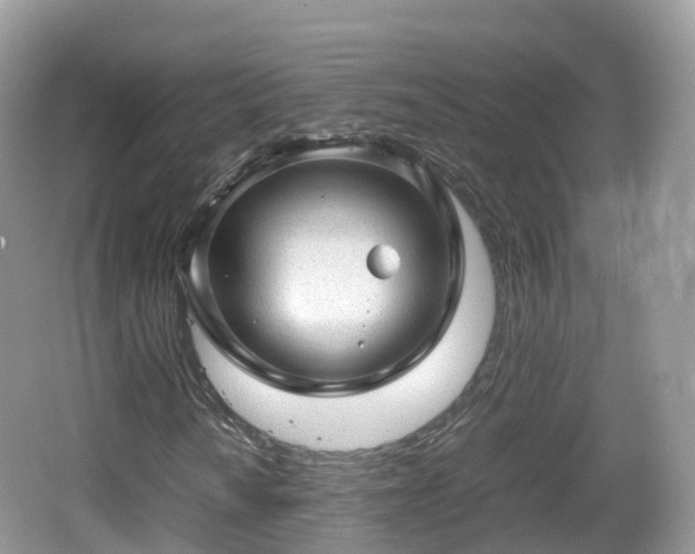 X0000067481010200604101223