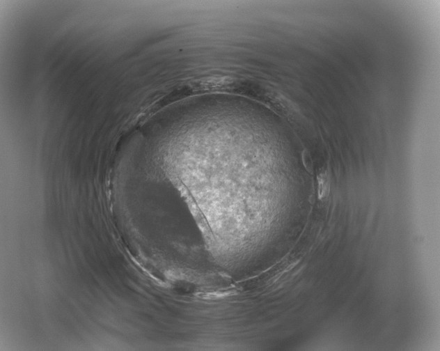 X0000067481011200604101223