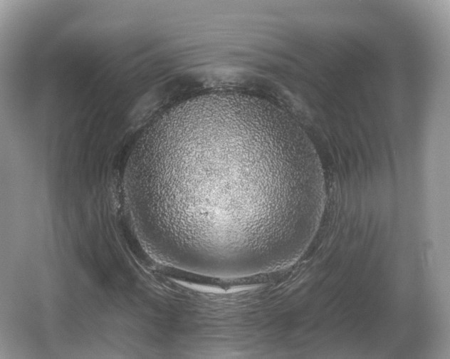 X0000067481012200604101223