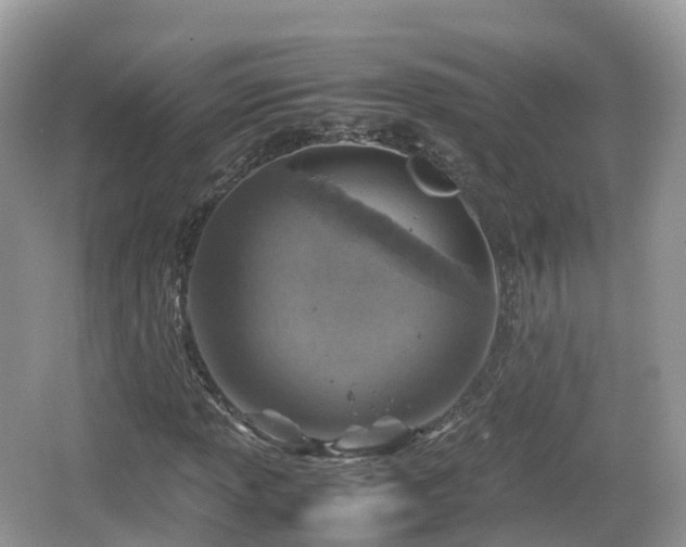 X0000067481013200604101223