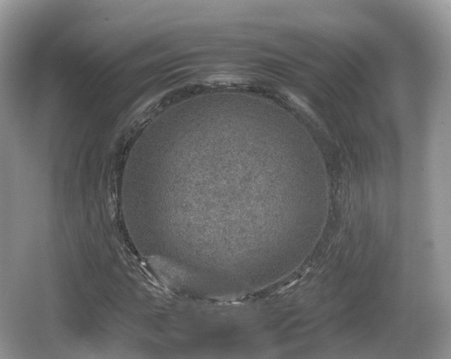 X0000067481015200604101223