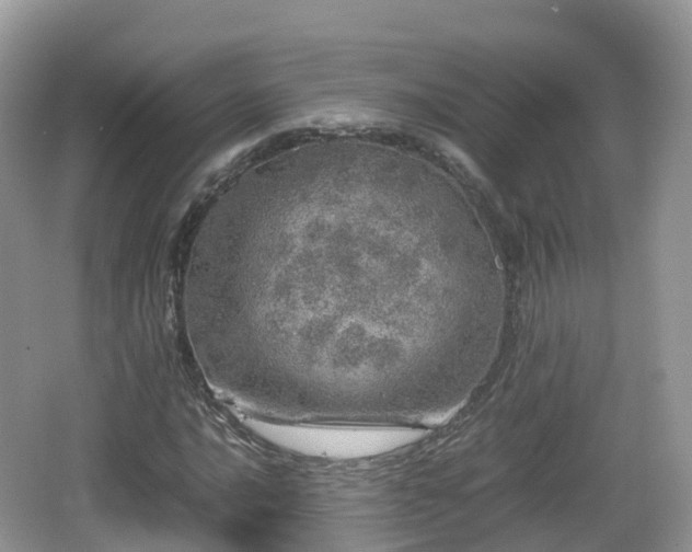 X0000067481016200604101223