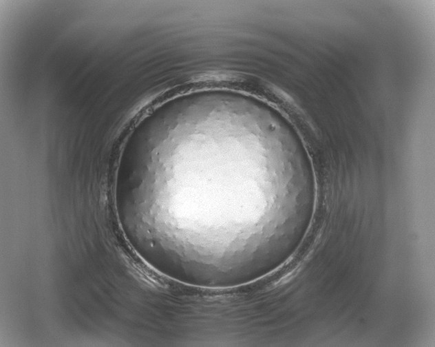 X0000067481017200604101223