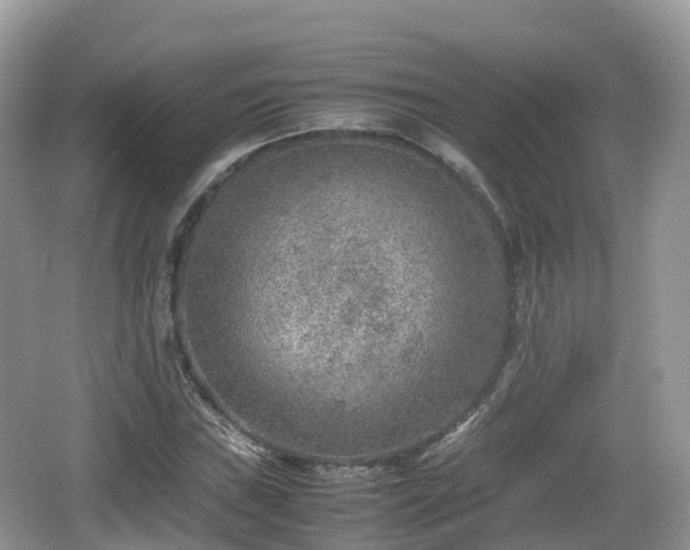 X0000067481019200604101224