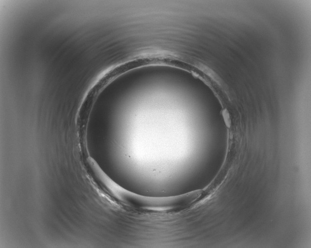 X0000067481022200604101224