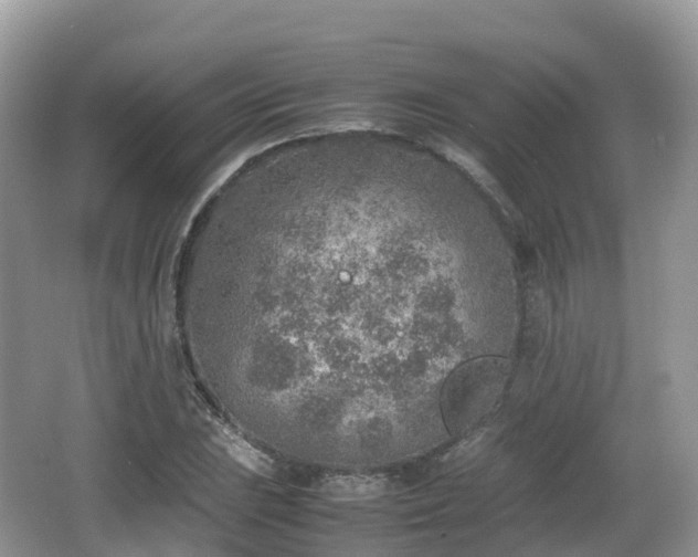 X0000067481023200604101224