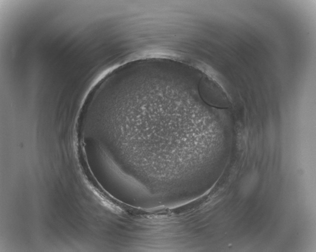 X0000067481024200604101224