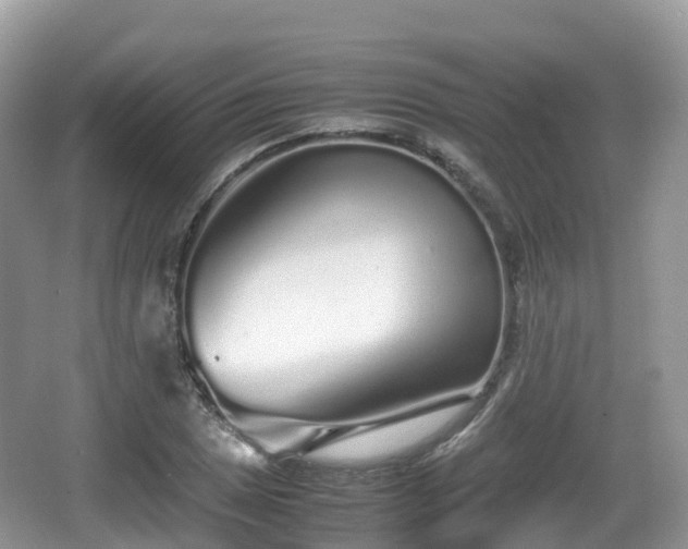 X0000067481025200604101224