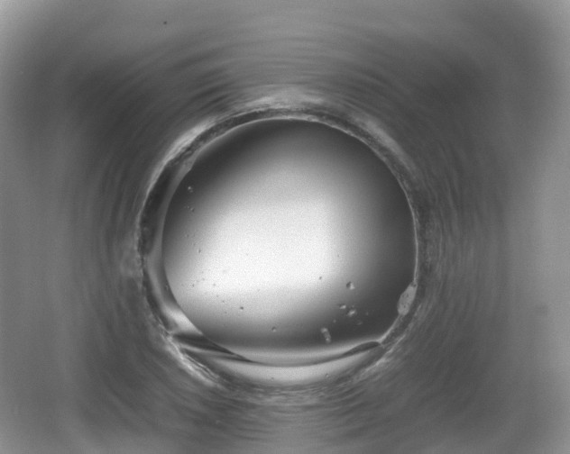 X0000067481026200604101224