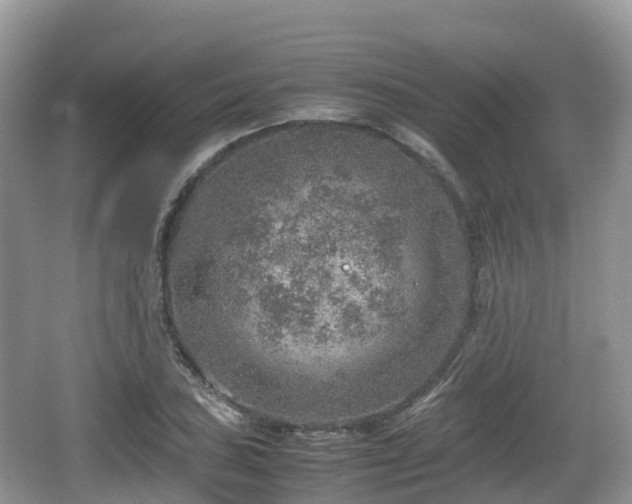 X0000067481027200604101224