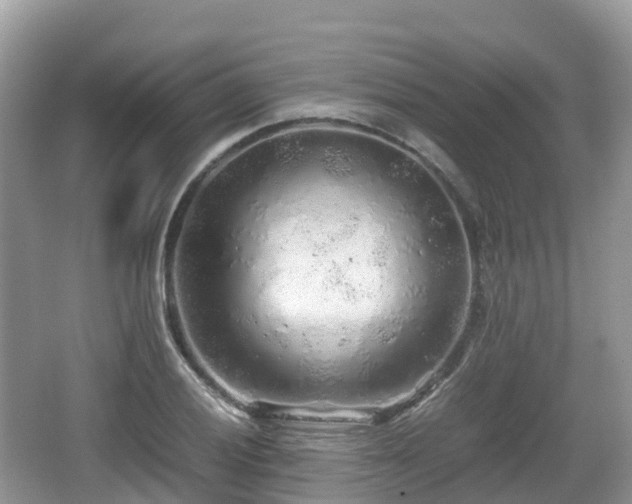 X0000067481028200604101224