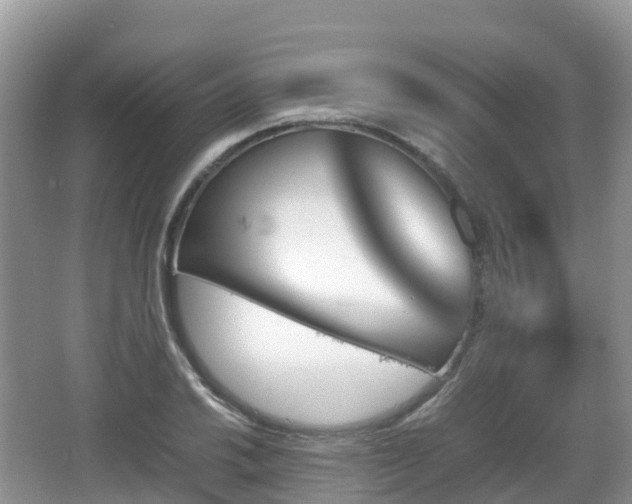 X0000067481030200604101224