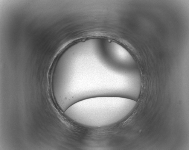 X0000067481031200604101224