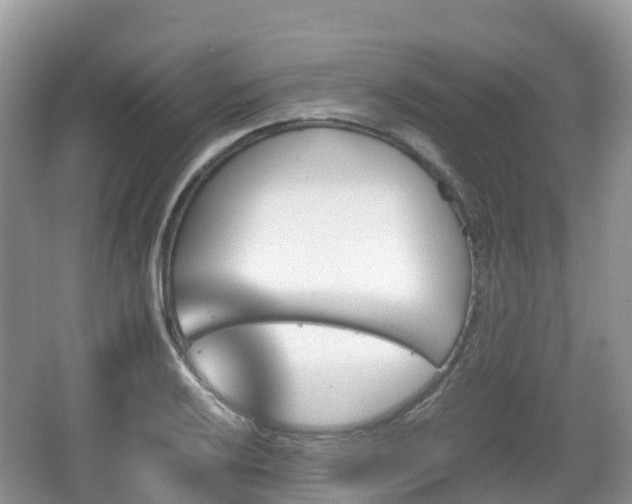 X0000067481032200604101224