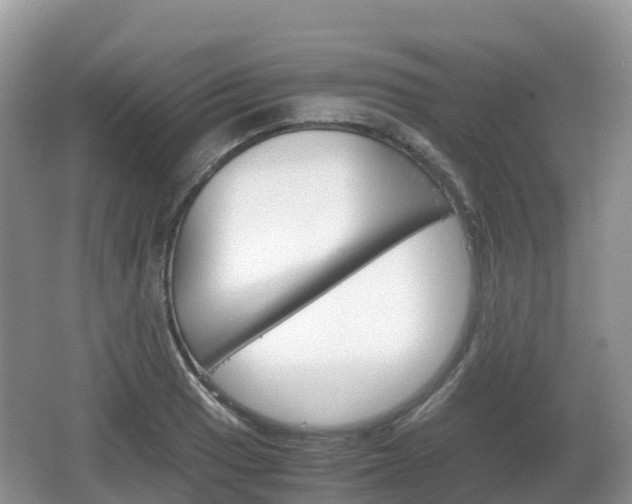 X0000067481033200604101224