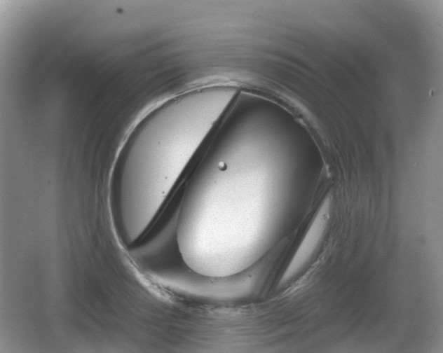 X0000067481034200604101224