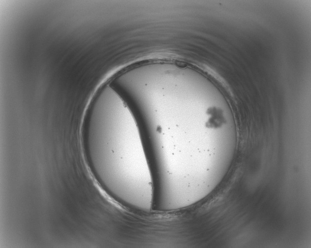 X0000067481037200604101224