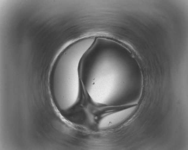 X0000067481038200604101224