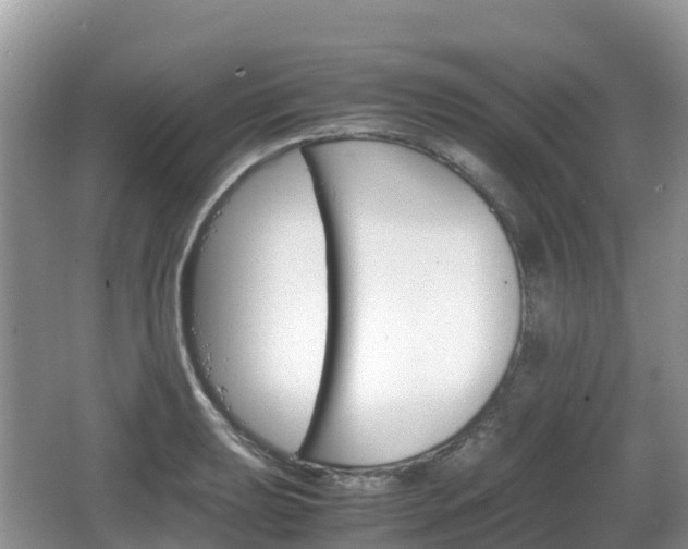 X0000067481039200604101224