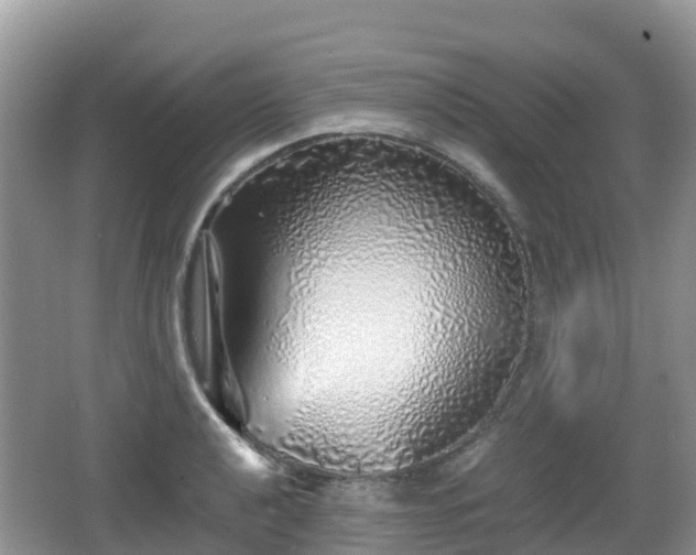 X0000067481040200604101224