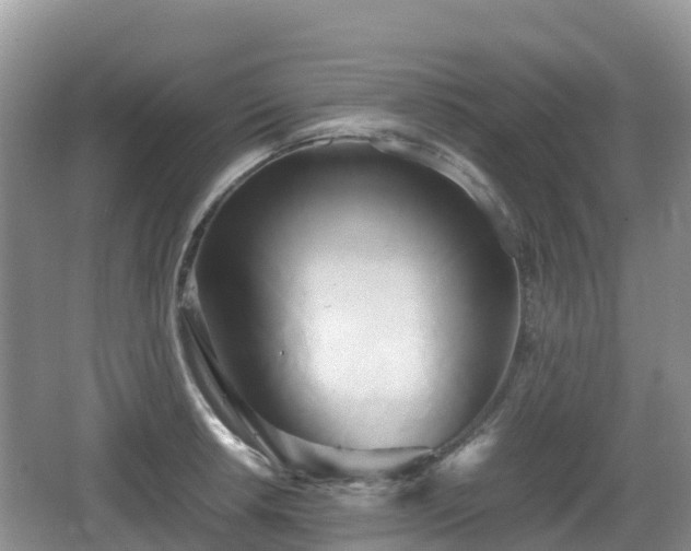 X0000067481042200604101224