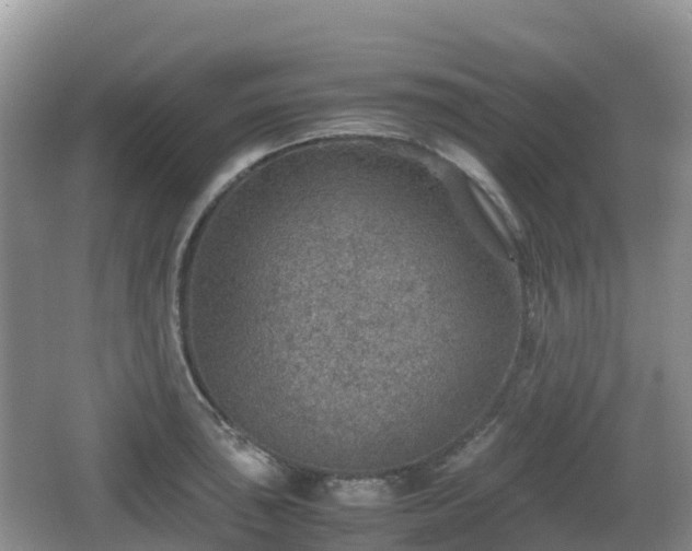 X0000067481043200604101224