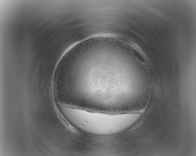 X0000067481044200604101224