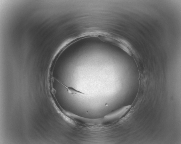 X0000067481046200604101224