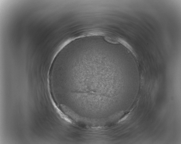 X0000067481047200604101224