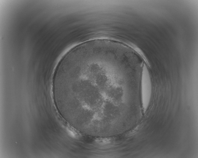 X0000067481051200604101224