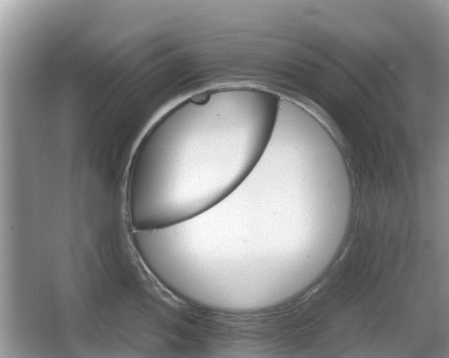 X0000067481052200604101224