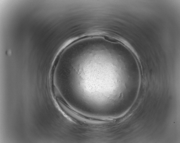 X0000067481053200604101224